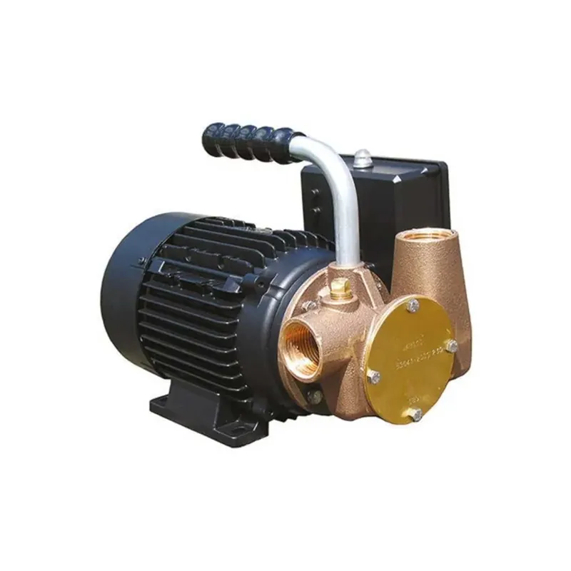 Bon Plan Bomba de muelle Utility – 230V – 80 L/min