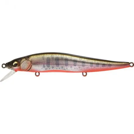 Leurre MEGABASS Vision oneten 11cm Yamame RB Nouvelle Collection