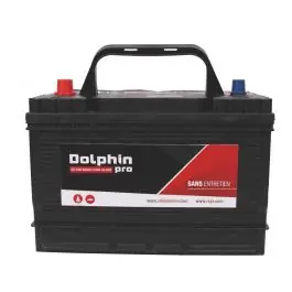 Produit De Marque Batterie mixte 12V Pro Dolphin