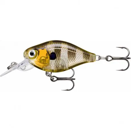 Dernière Chance Leurre RAPALA X-Light cranck mid runner 3.5cm GGIU