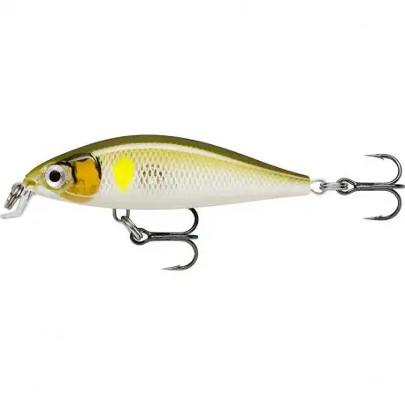 Leurre RAPALA X-light minnow 5cm AYU Meilleur Choix