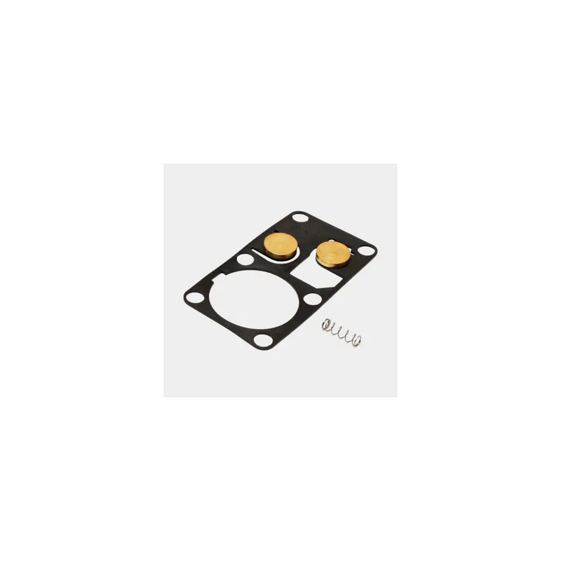 Commander Maintenant DOUBLE VALVE GASKET