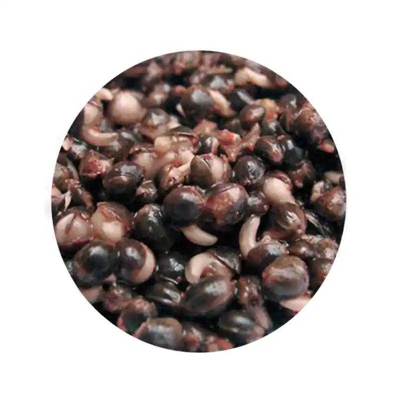 CcMoore Intense Hemp Meilleure Vente