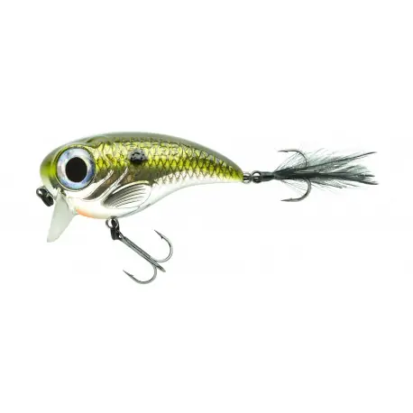 Leurre SPRO Fat iris 8cm Shad Achat Immédiat