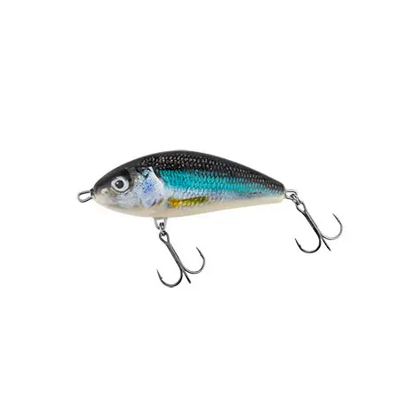 Promotion Saisonnière Leurre SALMO Fatso 10cm FLOTTANT HLS
