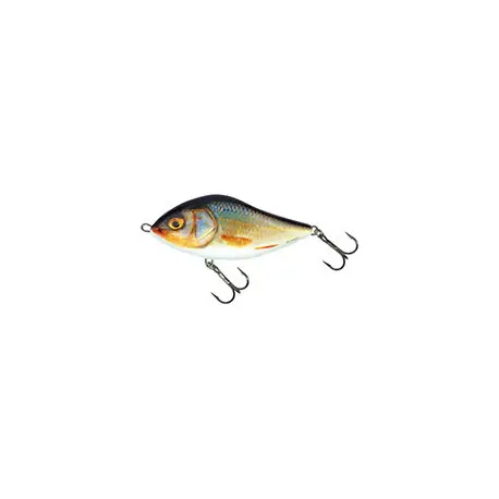 Leurre SALMO Slider COULANT 10cm RER Meilleure Vente