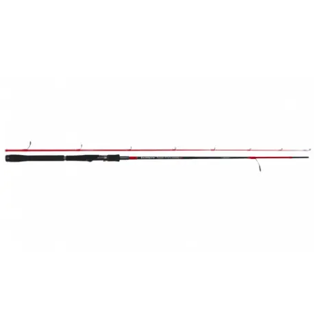 Canne TENRYU INJECTION SP 76H 2es 2m29 20-60gr Meilleur Prix