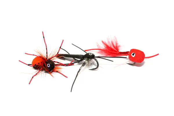 Jusqu’à Épuisement Des Stocks Nash Zig Bugs Actions Bugs