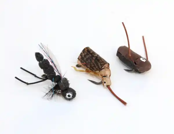 Nouveauté Nash Zig Bugs Natural Hatch 2