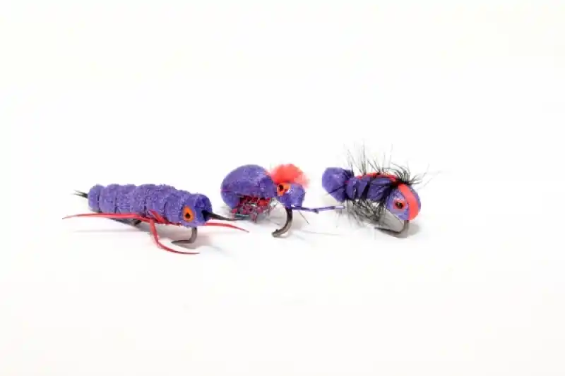 Dernier Modèle Nash Zig Bugs Purple Bugs