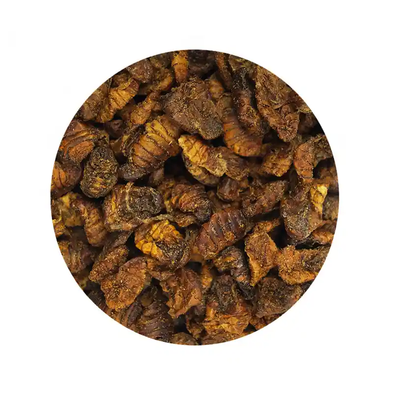 Haute Qualité MassiveBaits Larwy Jedwabników