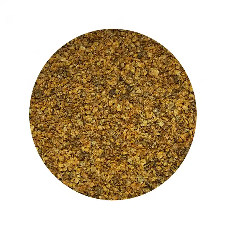 MassiveBaits Dafnia Commande En Gros