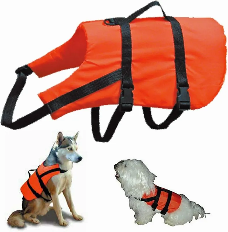 GILETS FLOTTANTS POUR CHIENS | LALIZAS Produit De Marque