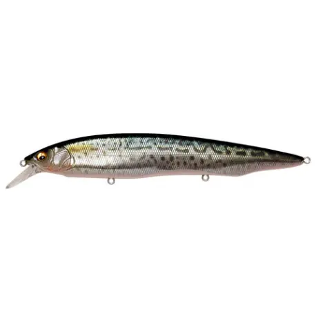 Affaire À Saisir Leurre MEGABASS Kanata SW ayu 16cm FA Saba