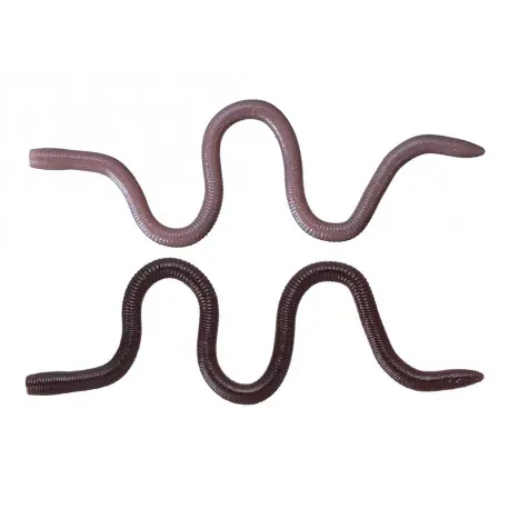 Achetez Aujourd’hui Leurre OSP MMZ Medium TW203