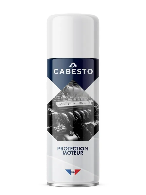 Expédition Rapide Aérosol Protection moteur