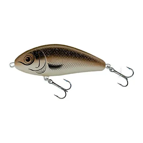 Seulement Aujourd’hui Leurre SALMO Fatso 10cm AKS Coulant