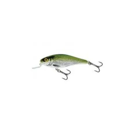 Vente Directe Leurre SALMO Executor 5cm olive bleak- flottant
