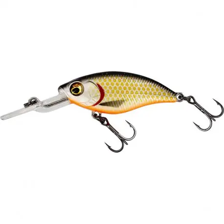 Leurre WESTIN Buzzbite cranckbait 6cm 10gr Official roach Usine Directe
