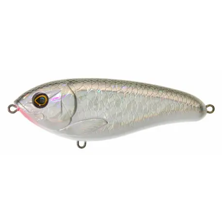 Must-Have Leurre ILLEX Dexter jerk 100 SS Silver shad