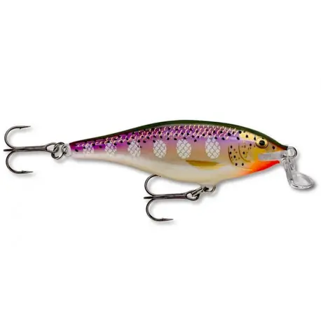 Leurre RAPALA Shad rap shallow 9cm PD Purpledescent Satisfait Ou Remboursé