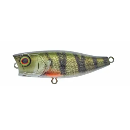 Leurre ILLEX Chubby Popper 42 RT Perch Offre Du Jour