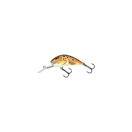 Leurre SALMO Hornet 5cm COULANT Trout Bon Plan