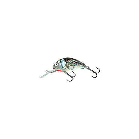 Usine Directe Leurre SALMO Hornet 5cm COULANT Holographic grey shiner