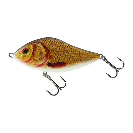 Commander Maintenant Leurre SALMO Slider FLOTTANT 10cm SGC