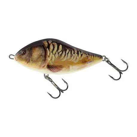 Leurre SALMO Slider FLOTTANT 10cm SMC Offre Du Jour