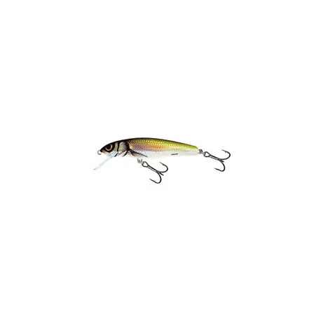 Prix Cassé Leurre SALMO Minnow 5cm COULANT Holo bleak