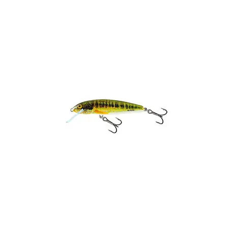 Leurre SALMO Minnow 5cm FLOTTANT Holo real minnow Expédié Aujourd’hui