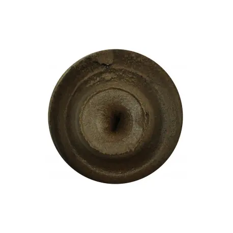 Pâte BERKLEY Hatchery pellet Promotion Saisonnière