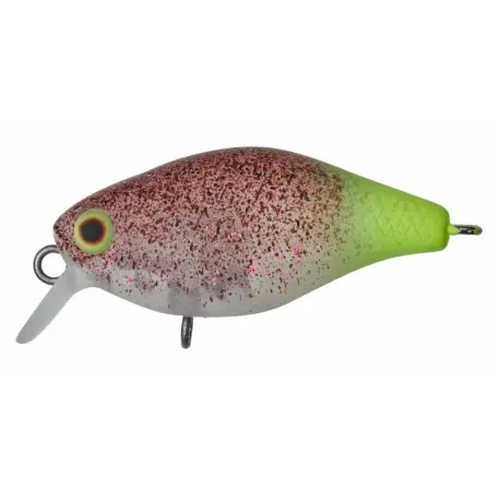 Usine Directe Leurre ILLEX Chubby 38F Area 38mm UV Secret shrimp