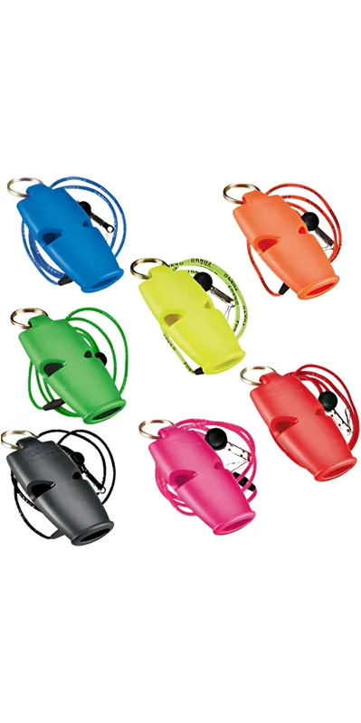 Offre Du Jour PalmMicro Fox 40 Sifflet