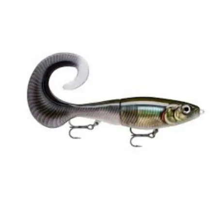 Super Prix Leurre RAPALA X-RAP OTUS 17cm Smelt on the beach