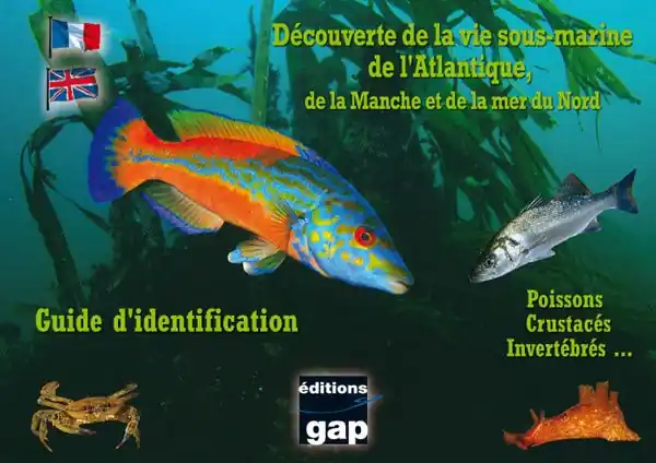 Achat Immédiat LIVRE DECOUVERTE DES ESPECES DE L&rsquo;ATLANTIQUE 8 PLAQUETTES TURTLE PROD