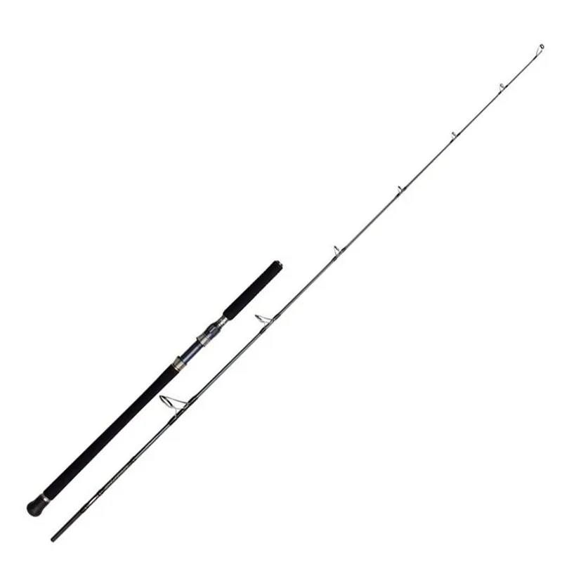 Canne casting BATTALION Solid Offshore 230 30/180G | PENN Super Prix