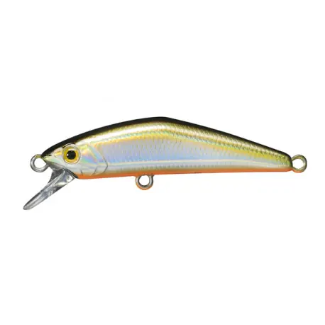 Leurre SMITH D-compact 45mm 04 Paiement Sécurisé