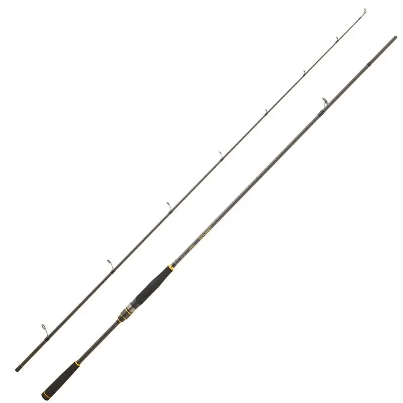 Promotion CANNE SPINNING LEGALIS SEABASS | DAIWA