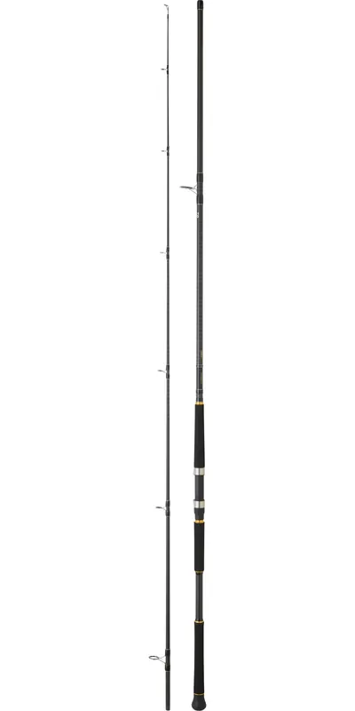 Meilleur Prix CANNE SHORE JIGGING DAIWA LEGALIS SJ