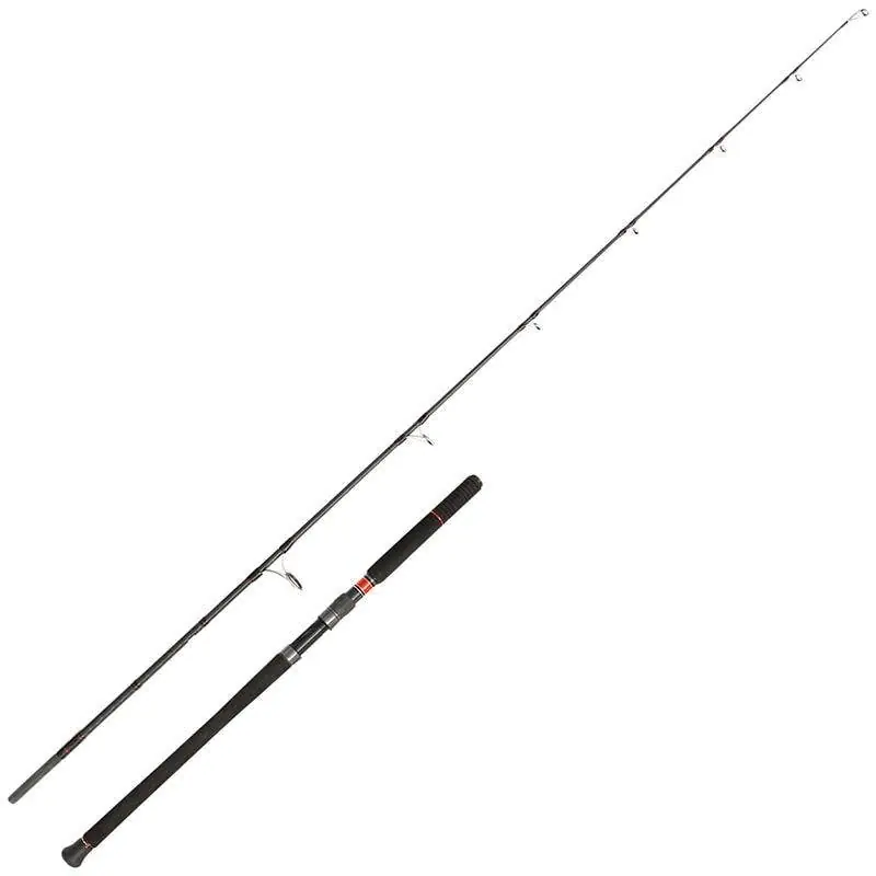 Must-Have Canne Offshore Spinning Conflict PÊCHE au Thon 30/180G PENN
