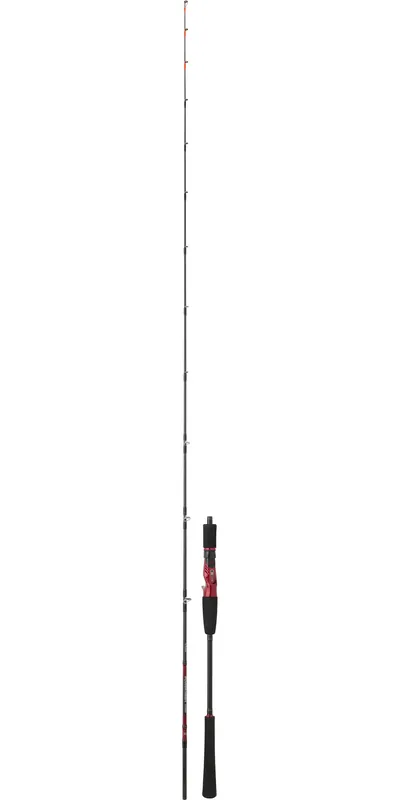 CANNE JIGGING DAIWA POWERMESH TAI 193 40/160G Commander Maintenant