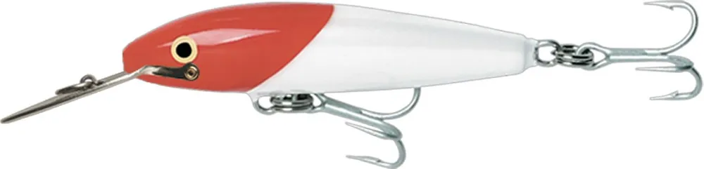 LEURRE RAPALA COUNTDOWN MAGNUM 220 Dernier Modèle