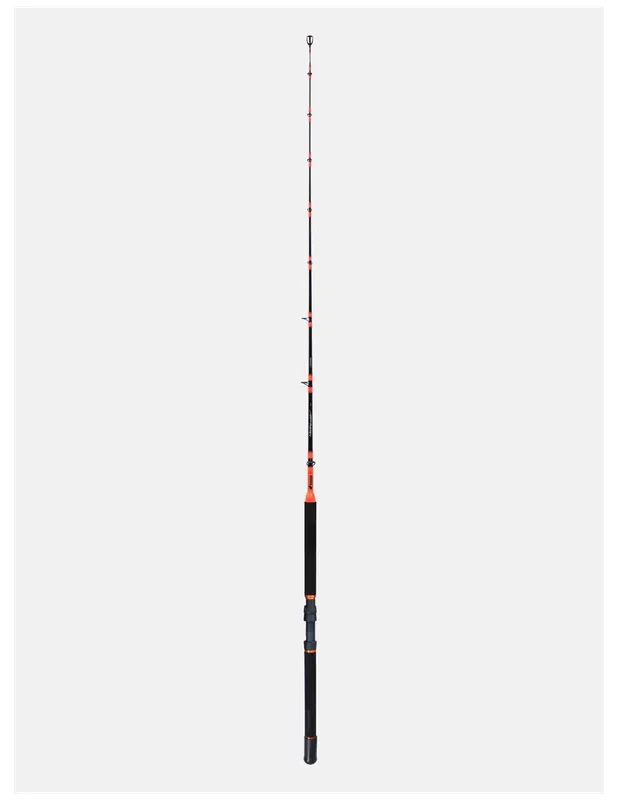 Colmic Medina Coastal Trolling et Squid Trolling Canne à pêche Meilleur Prix