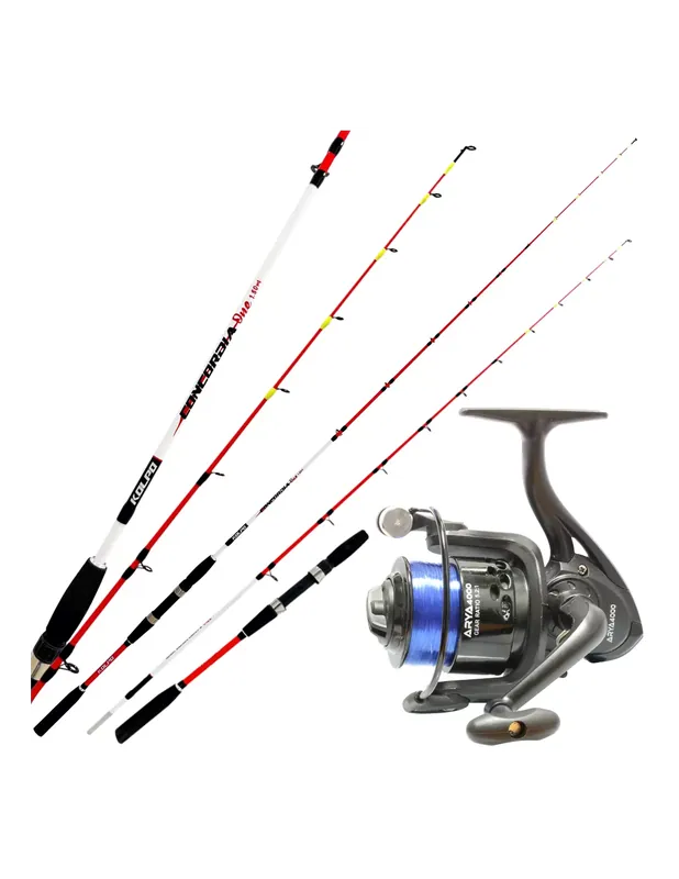 Kit de pêche en bateau Kolpo Bolentino Seiche Concordia une canne + moulinet + fil Must-Have
