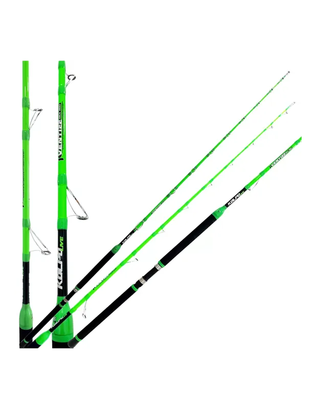 Acheter Direct Kolpo Venti22 Live Rod Trolling Rod avec Live Bolentino avec moulinet électrique 2 mt 300gr