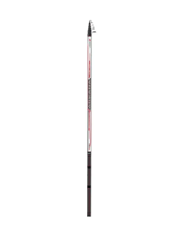 Colmic Arkana Bolognese canne à pêche 25 grammes Achetez Aujourd’hui