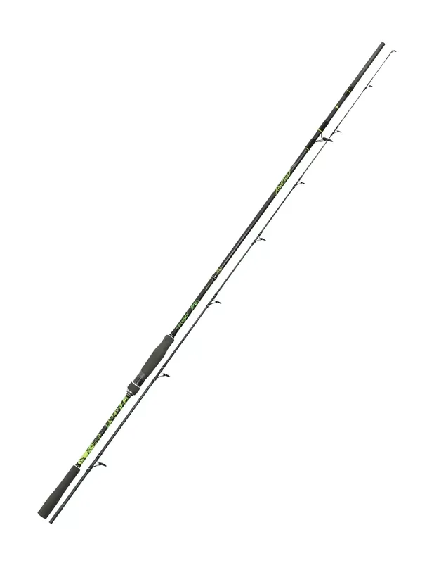 Expédition Rapide Maver Spinner Bass Carbon Spinning Canne à pêche 10/50 gr