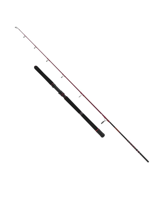 Réduction Penn Squadron III Jig Rod Boat Fishing Rods 2 sect